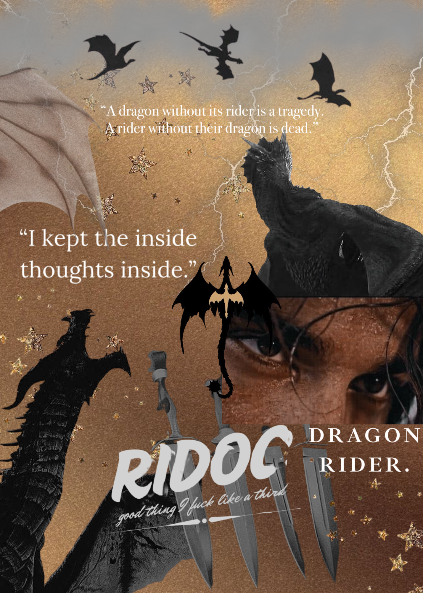 Ridoc Fourth Wing Inspired Insert